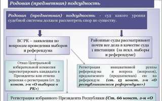 В рамках какого процесса будет рассматриваться данное дело