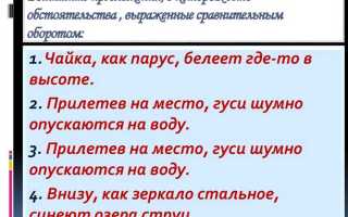 Что такое неправильное определение обстоятельств имеющих значение для дела