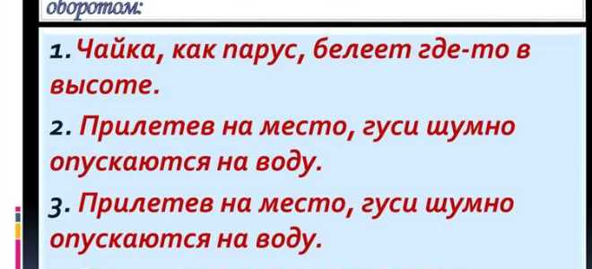 Что такое неправильное определение обстоятельств имеющих значение для дела