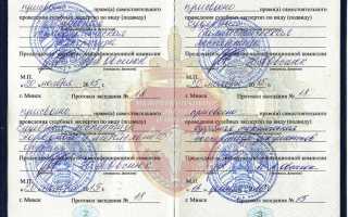 Экспертиза давности документа на сколько точная