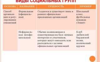 Что такое демографическая социальная группа