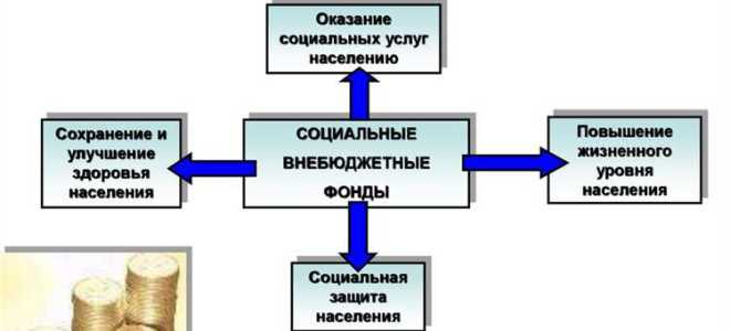 К какой системе внебюджетные фонды отнесены в бюджетном кодексе