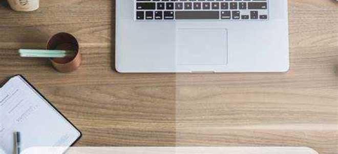 Залогодержатель ооо почему он не владелец компании