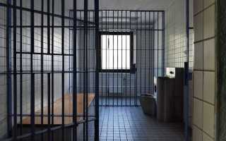 Как вытащить человека из тюрьмы статья 228