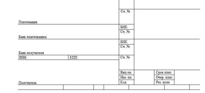 Какой статус плательщика при оплате госпошлины