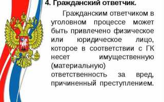 Следователь как участник уголовного судопроизводства