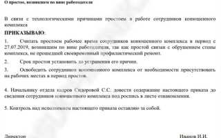 Простой техники по вине заказчика как прописать в договоре