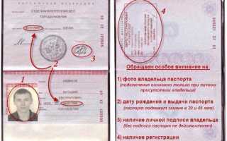 Дата выдачи ву где смотреть