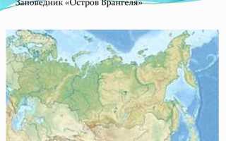 Что относится к арктической зоне