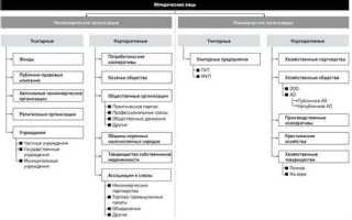 Что главнее гк или фз