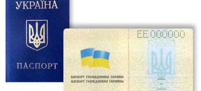 Нашел паспорт что делать по закону