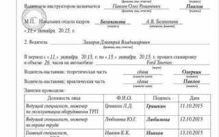 Как проходит стажировка в ппс