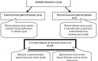 Рассматривается единолично судьей что означает