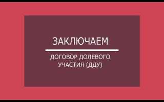 Договор дду на что обратить внимание 2023