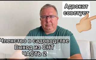 Что можно делать на снт