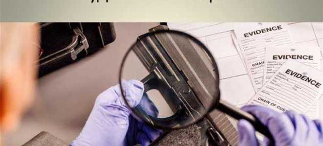 Суд назначил экспертизу что дальше делать