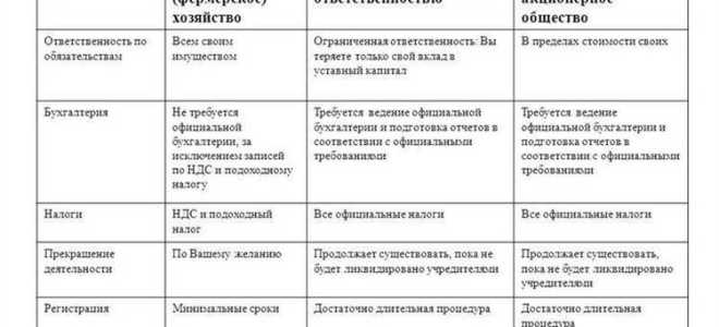 Какую ответственность несет учредитель фирмы