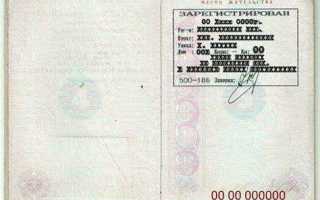 Что писать в графе паспортные данные