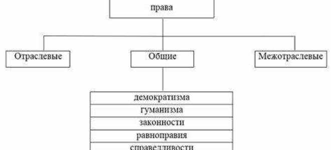Что такое принцип в праве
