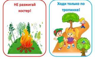 Лес как объект правовой охраны