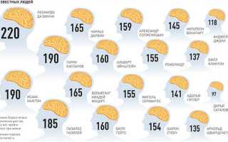 Какой уровень не соответствует уровню социального масштаба образования