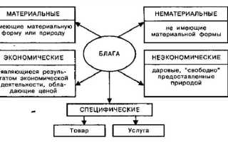 Что относят к нематериальным благам