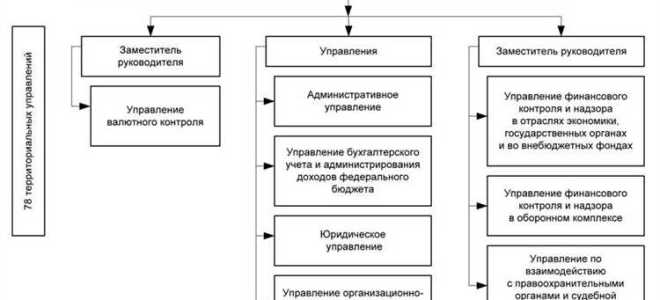 Кто осуществляет общественный финансовый контроль