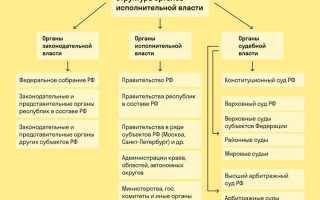 Что кто является высшим органом ооо