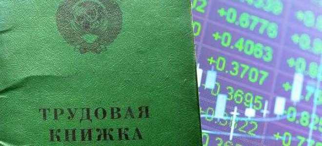 Ошибки в электронной трудовой книжке как исправить