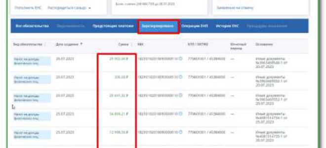 Что такое страховые взносы в личном кабинете налогоплательщика