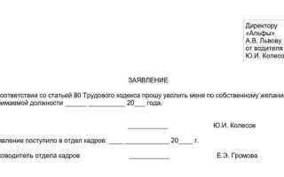 Отказали в признании безработным что делать