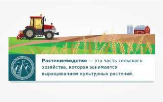 Какие предприятия относятся к апк