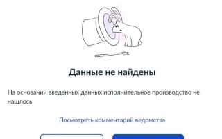 Как получить информацию по исполнительному производству