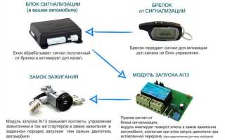 Как подается машинистом звуковой сигнал бдительности