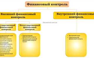 Минэкономразвития кто осуществляет внешний финансовый контроль