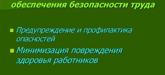 Принцип минимизации повреждения здоровья работников означает что