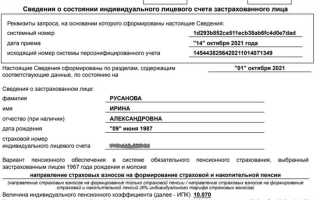 Сзи 6 что это за справка