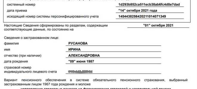 Сзи 6 что это за справка