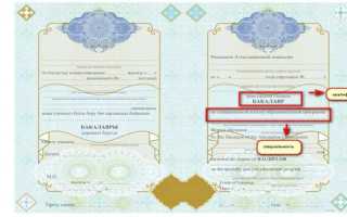 Профессиональный лицей какое это образование