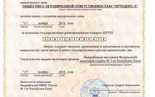 Сведения об органах юридического лица что писать