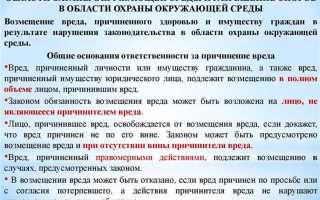 Какие предписания выдаются при госнадзоре организациям которые нарушают обязательные требования