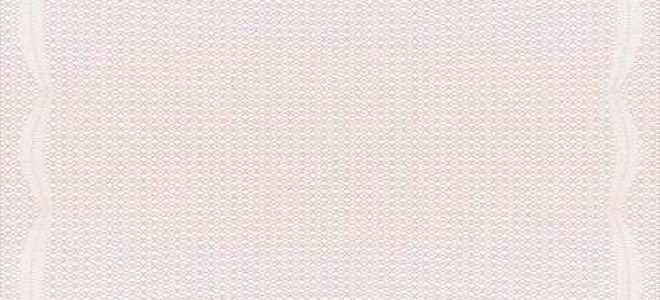 Сколько экземпляров медицинских заключений готовит медорганизация