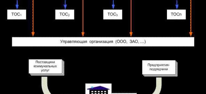 Сколько действует лицензия на управление многоквартирным домом