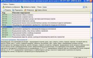 На что влияет основной оквэд