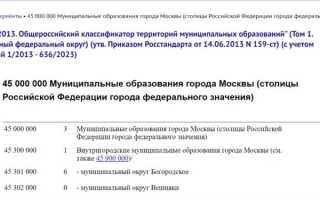 В декларации неверно указан октмо что делать