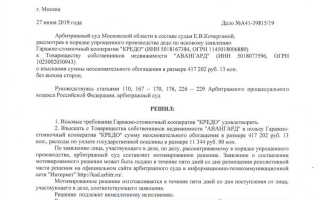 Когда вступает в силу решение арбитражного суда