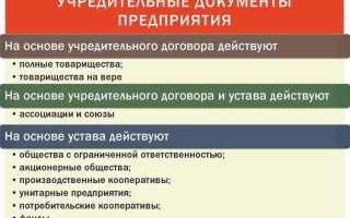 Положение и устав в чем разница
