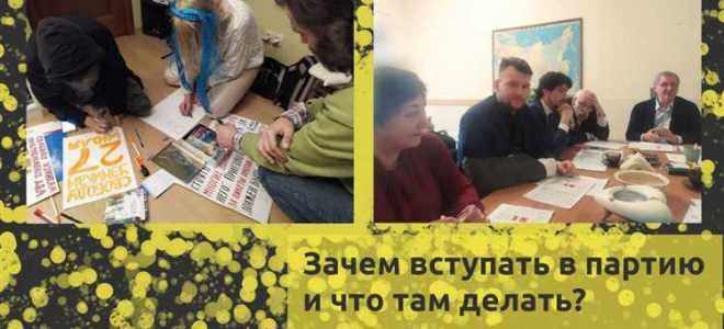 Как вступить в политическую партию