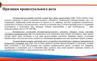 Что относится к процессуальным документам