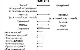 Что означает понятие имущественный иммунитет